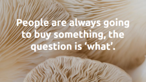 sustainable luxury Kamila Boudova s